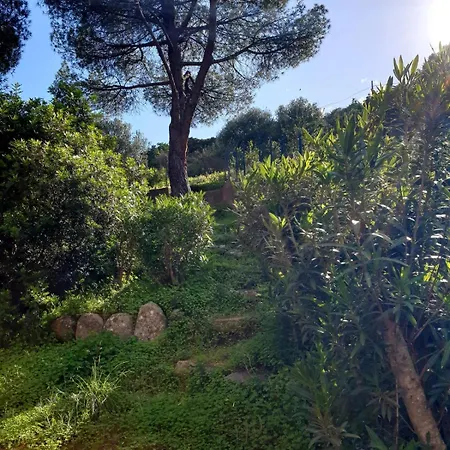 Turtles House Villasimius